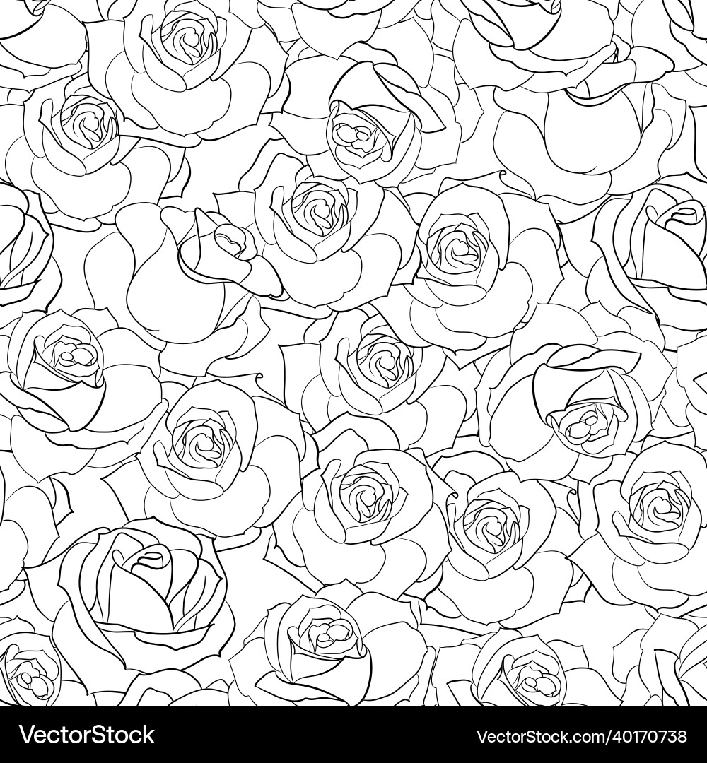 Seamless pattern from flowers of roses on a white vector image