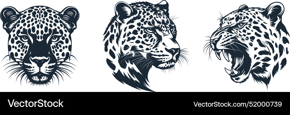 Leopard Face Vector Images (over 5,400)