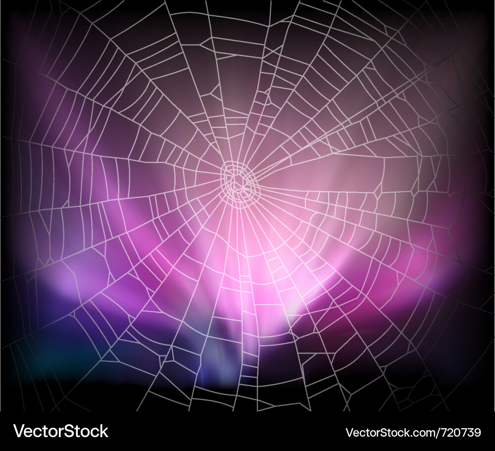 Intricate Spiderweb Background Vector Image