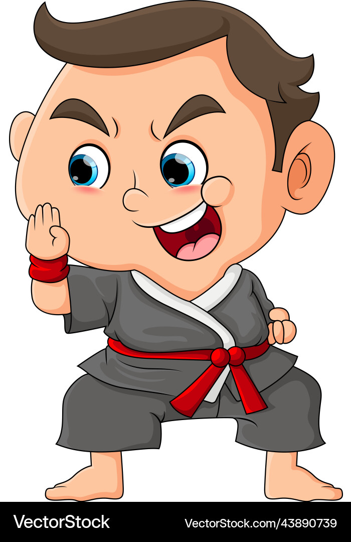 Karate boy is practicing and exercising multiple Karate boy is practicing and exercising multiple Vector Image