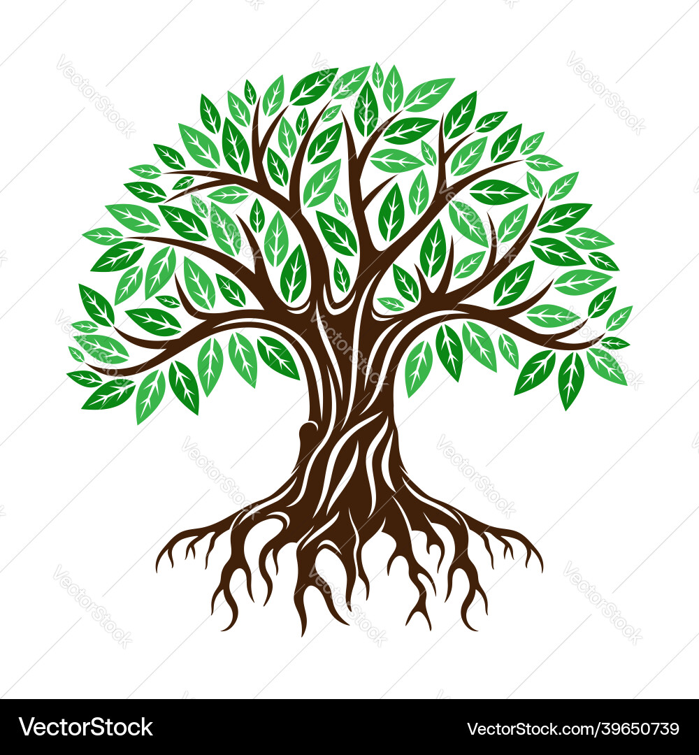 Tree with Roots Icon vector image