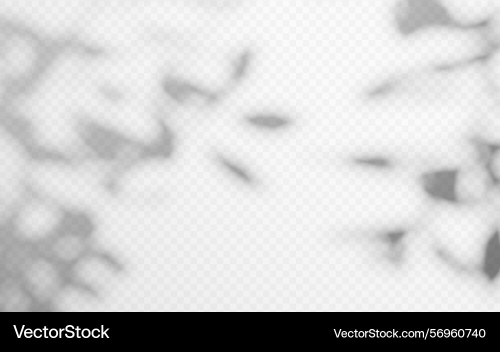 Abstract shadow overlay from tree branch Abstract shadow overlay from tree branch vector image