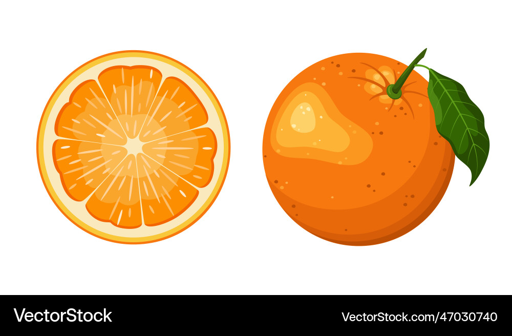 Ripe oranges Royalty Free Vector Image - VectorStock