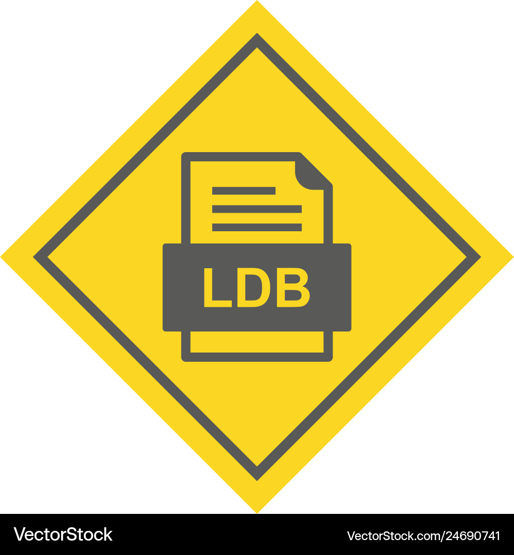 Ldb file document icon Vector Image