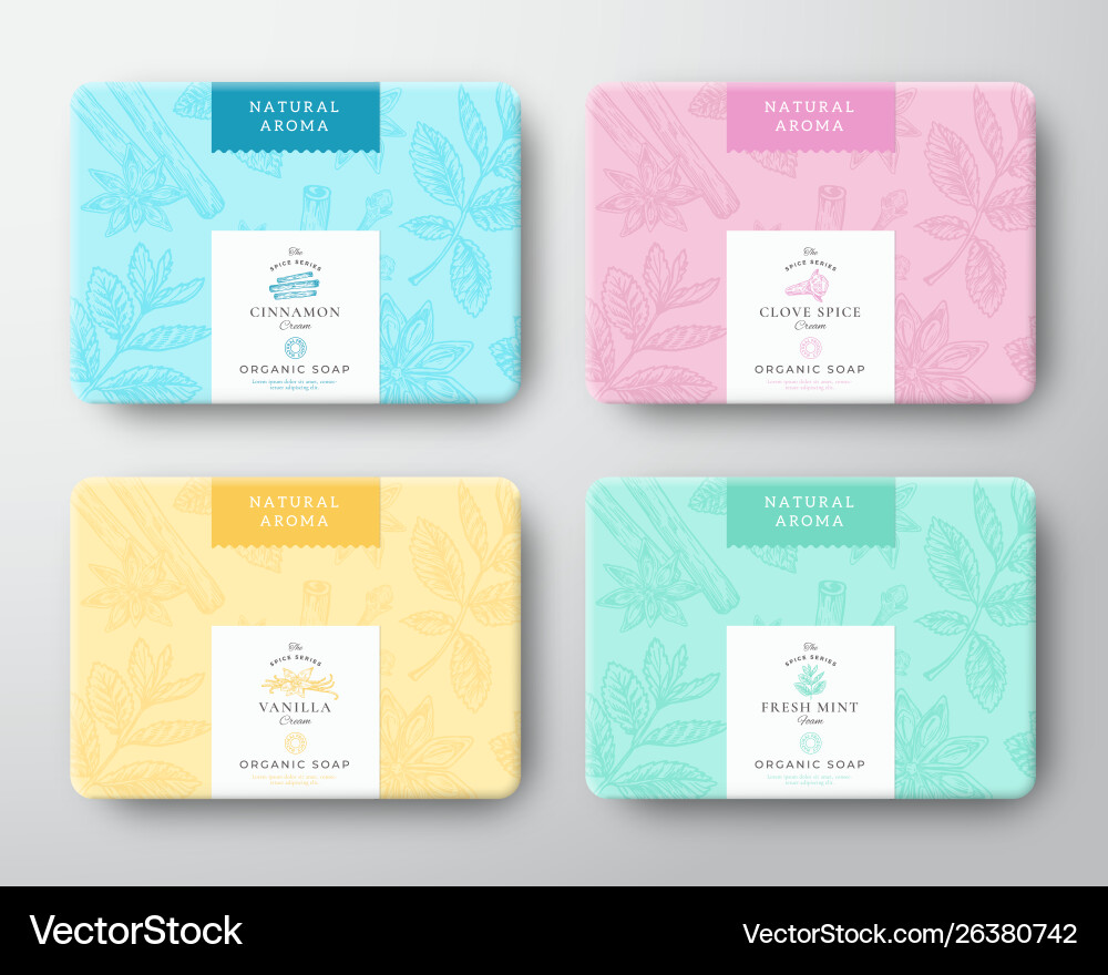 Cinnamon clove mint and vanilla soap cardboard Cinnamon clove mint and vanilla soap cardboard vector image
