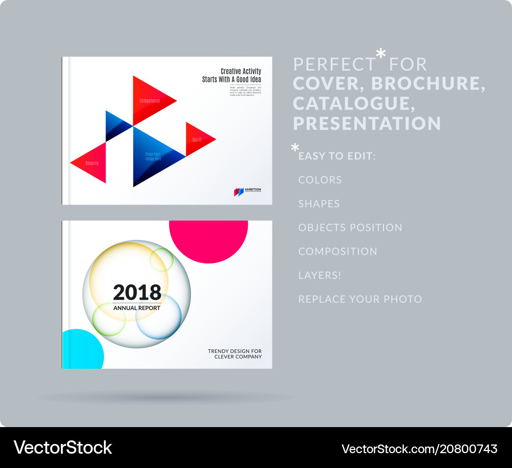 Triangular Presentation Template vector image