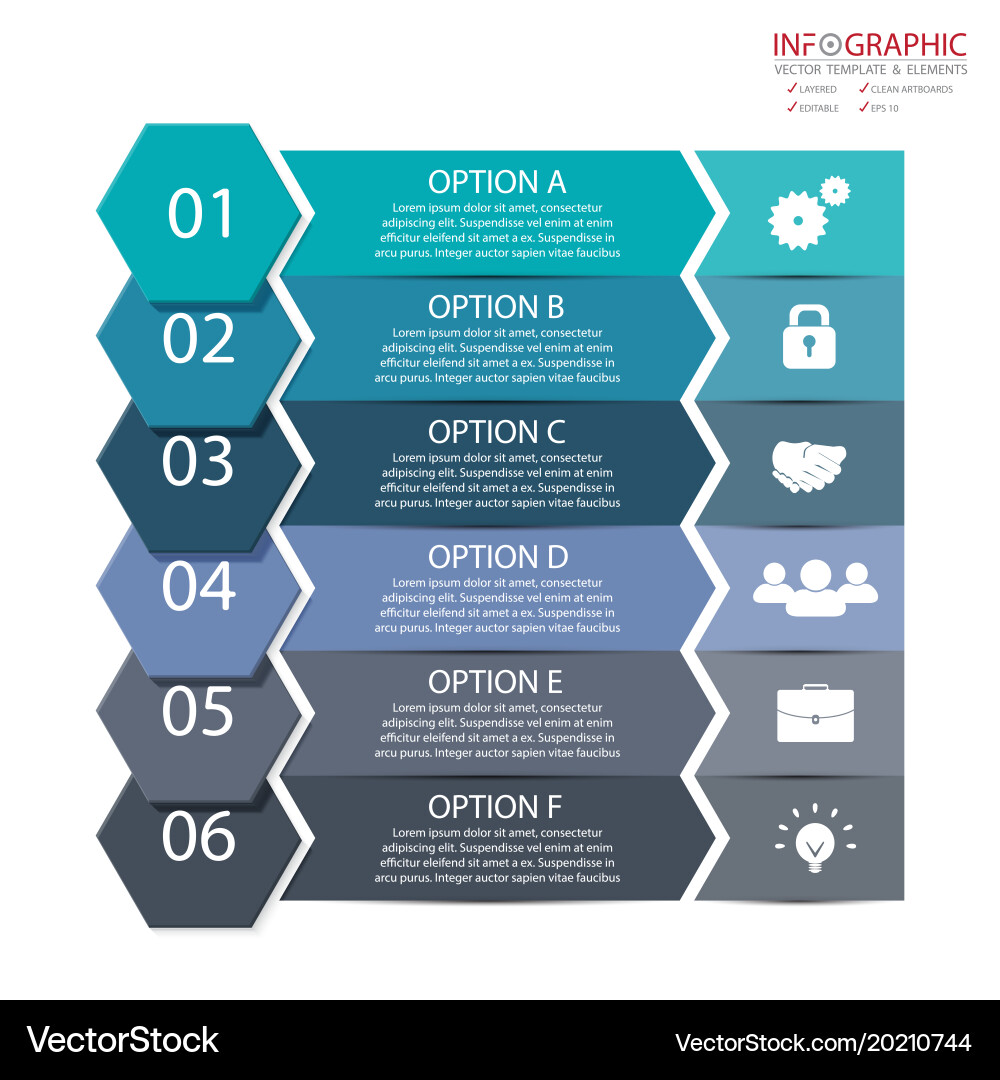 Abstract element infographics 6 option design vector image