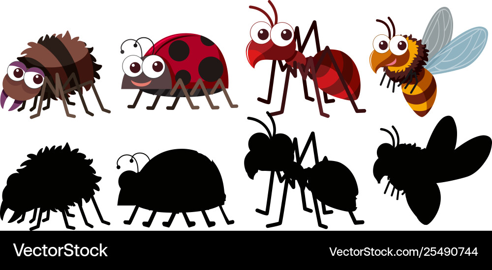 Set insect character vector image