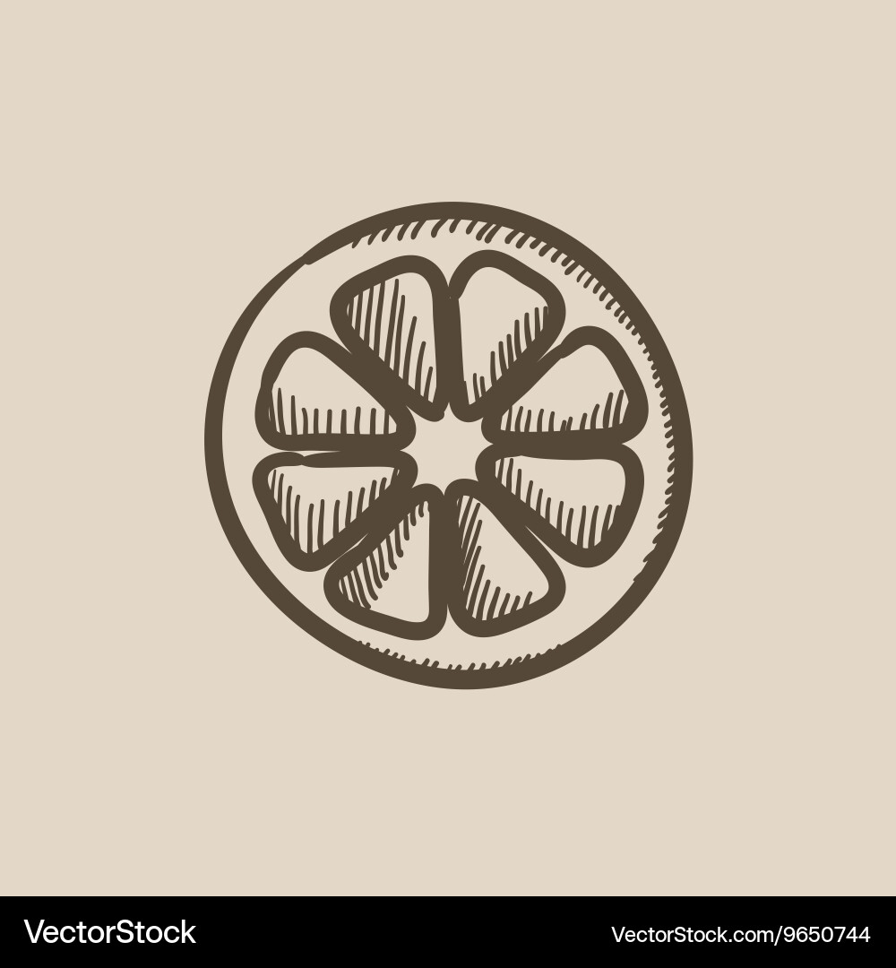 Slice of lemon sketch icon vector image