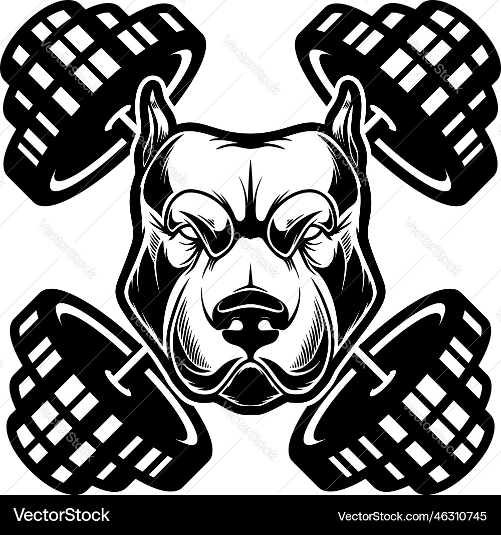 Angry dog head with crossed gym barbells design Angry dog head with crossed gym barbells design vector image