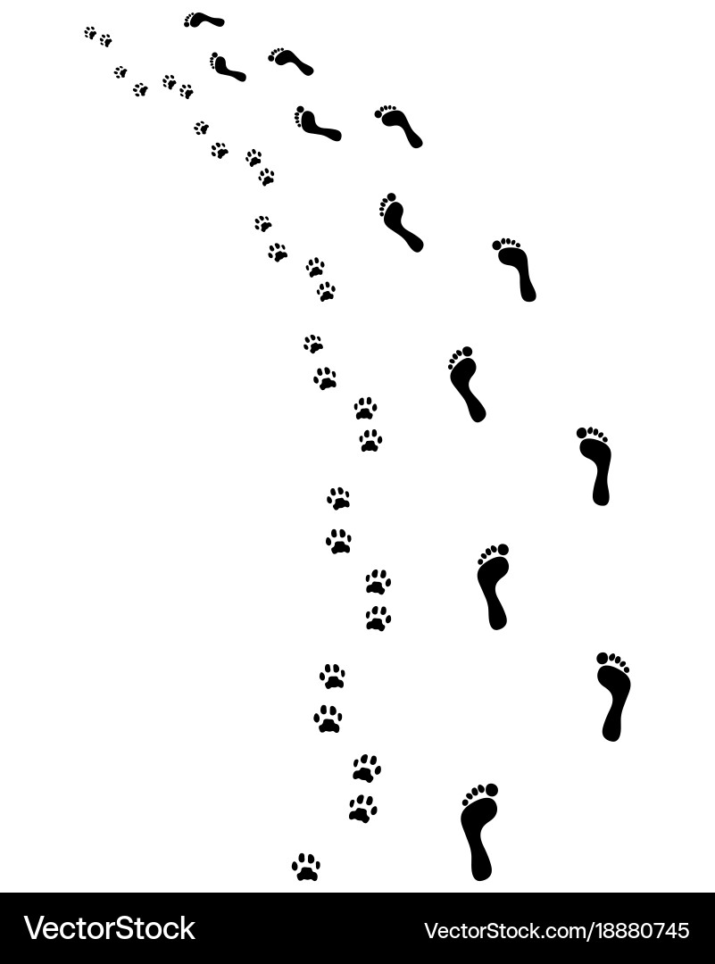 Barefoot Footprints and Paws vector image