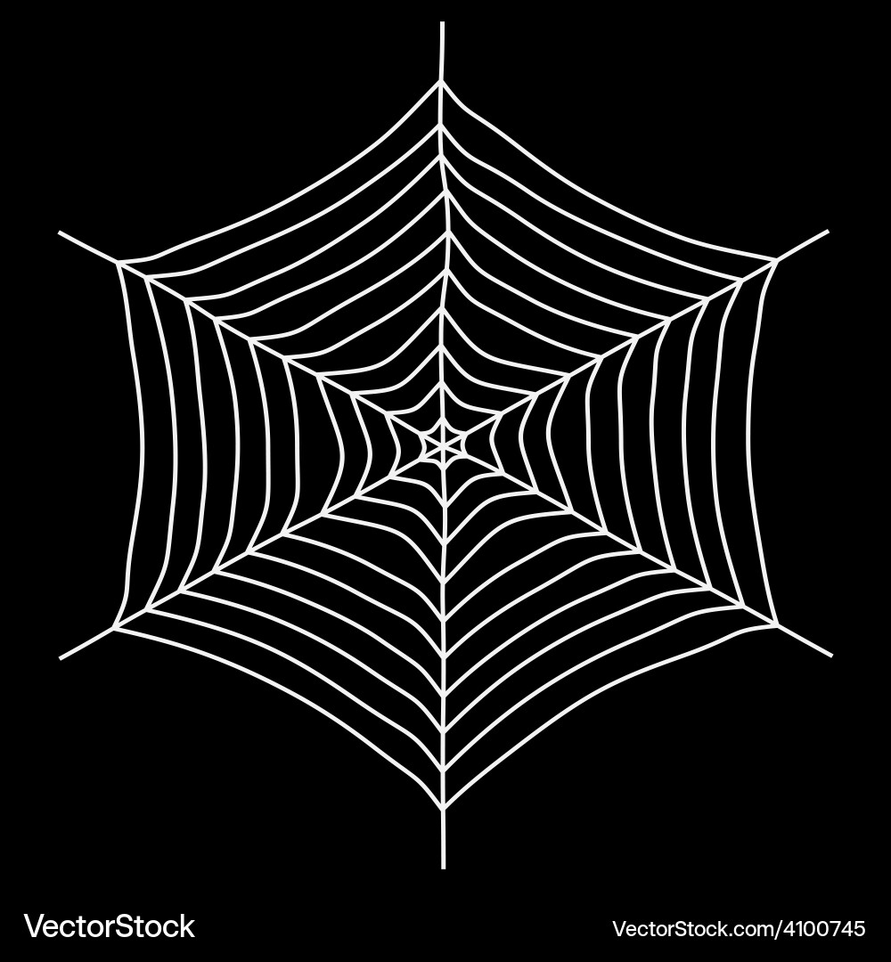 Spyder web isolated on a black background Vector Image