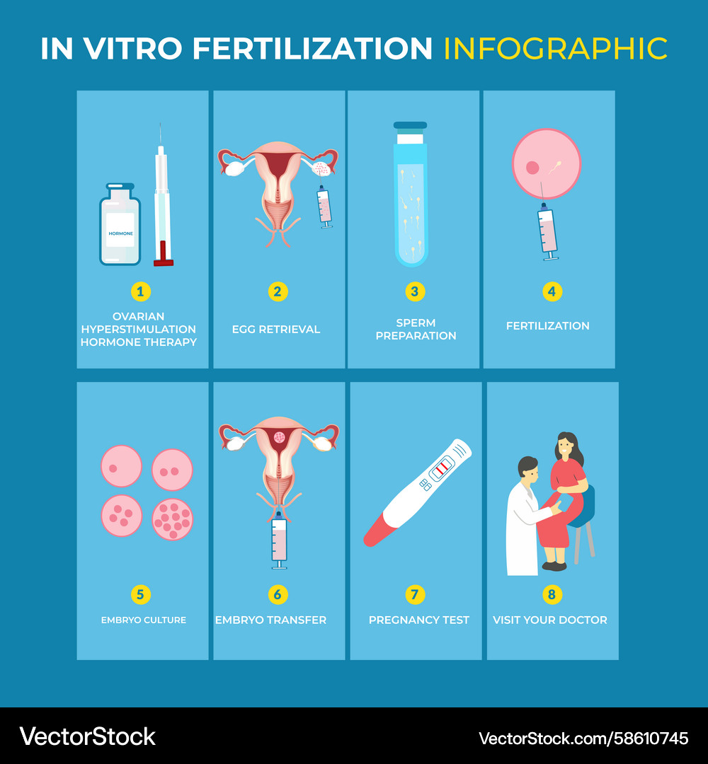Understanding ivf a step by guide Vector Image