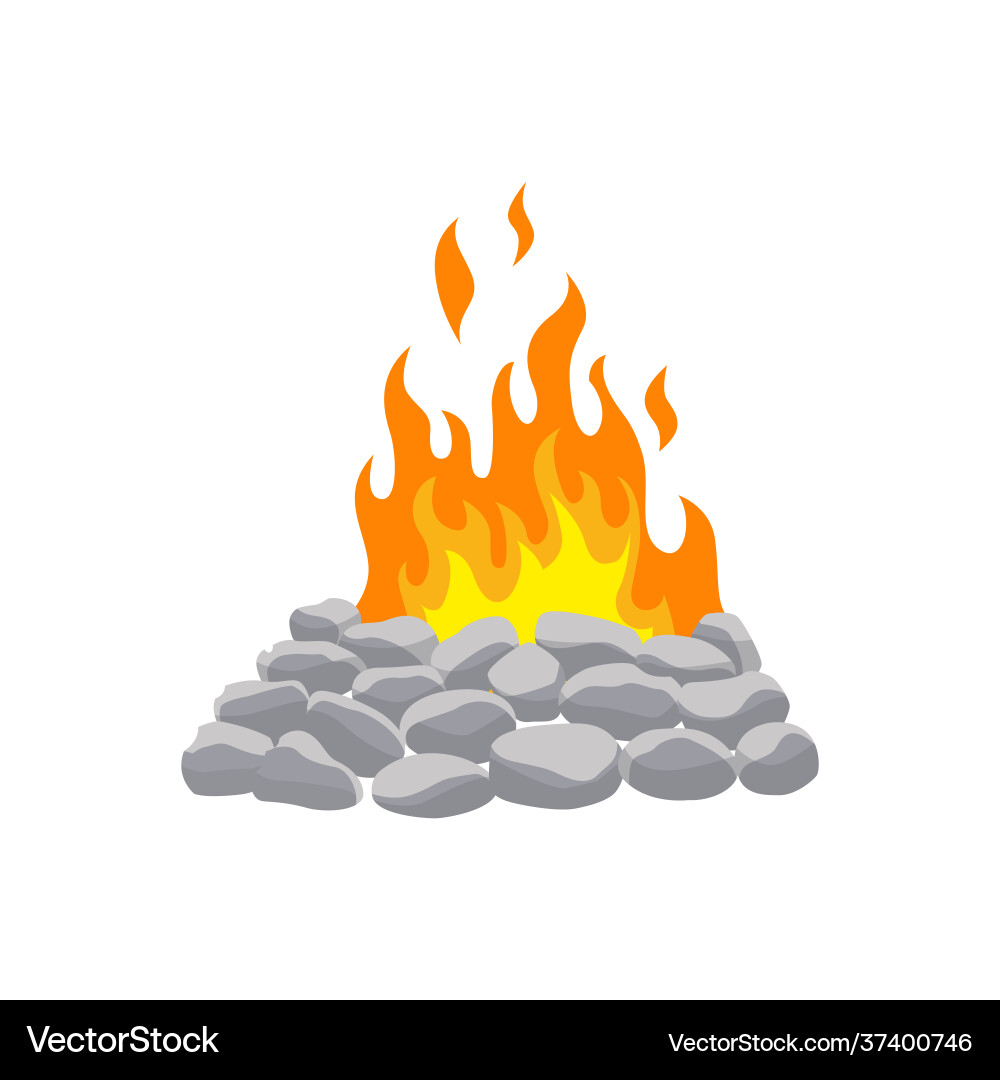 Campfire Burning Fire Vector Image