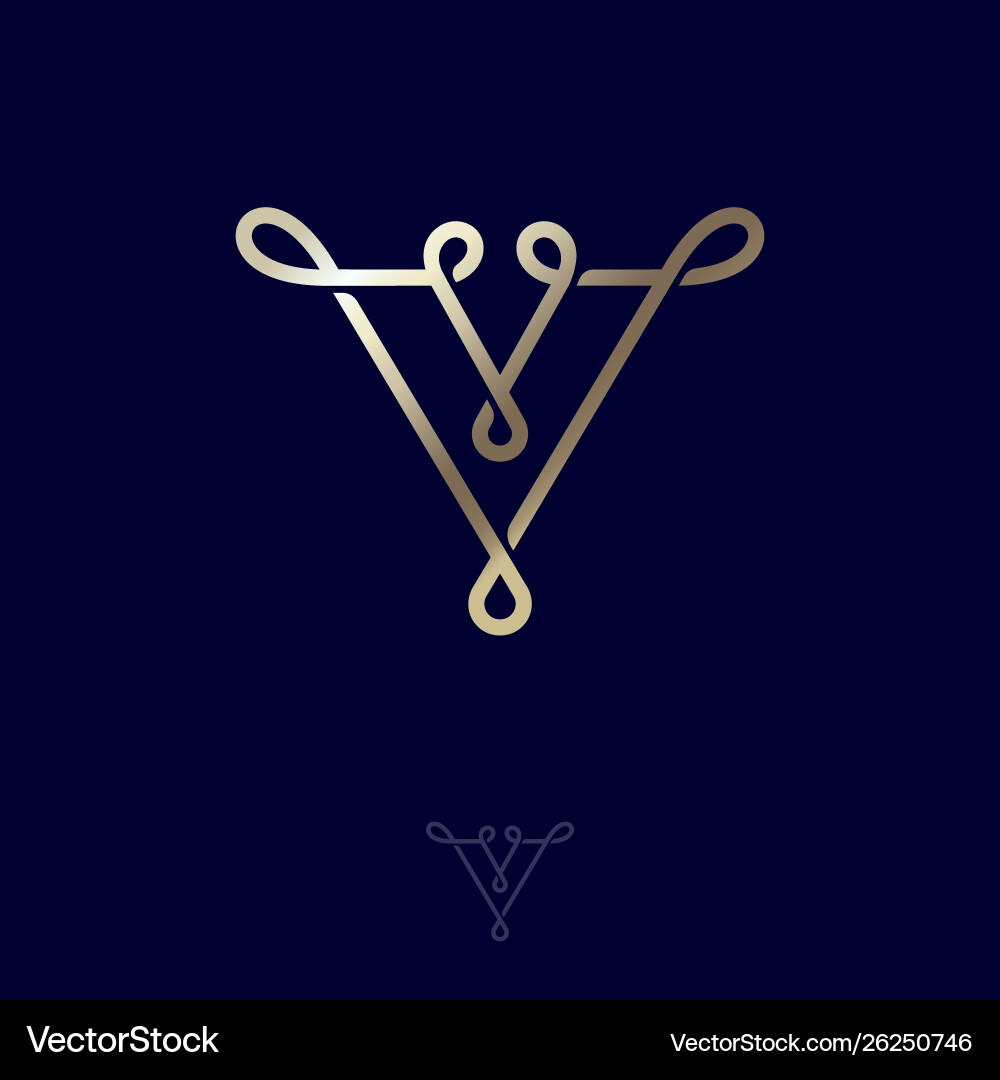 Elegant V Monogram Loop Icon vector image
