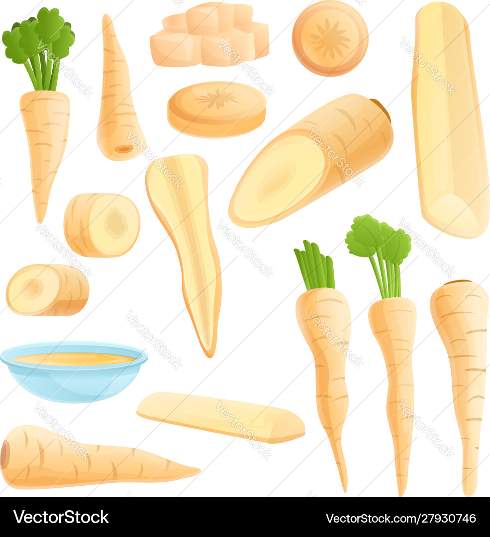 Parsnip icons set cartoon style Parsnip icons set cartoon style vector image