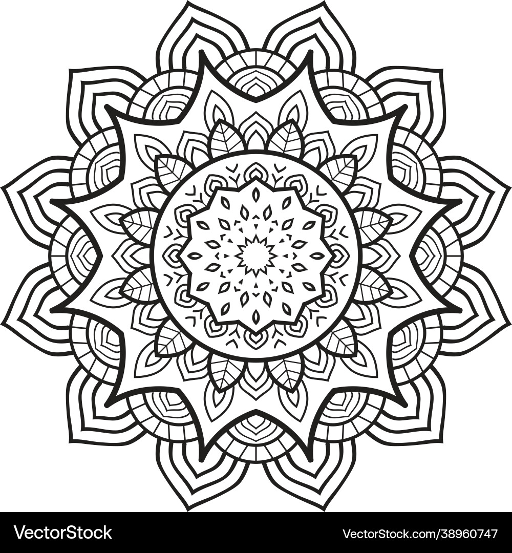 Circular pattern in form a mandala vector image