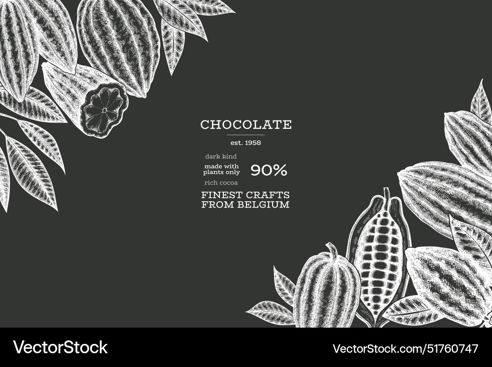Cocoa design template chocolate beans Cocoa design template chocolate beans vector image