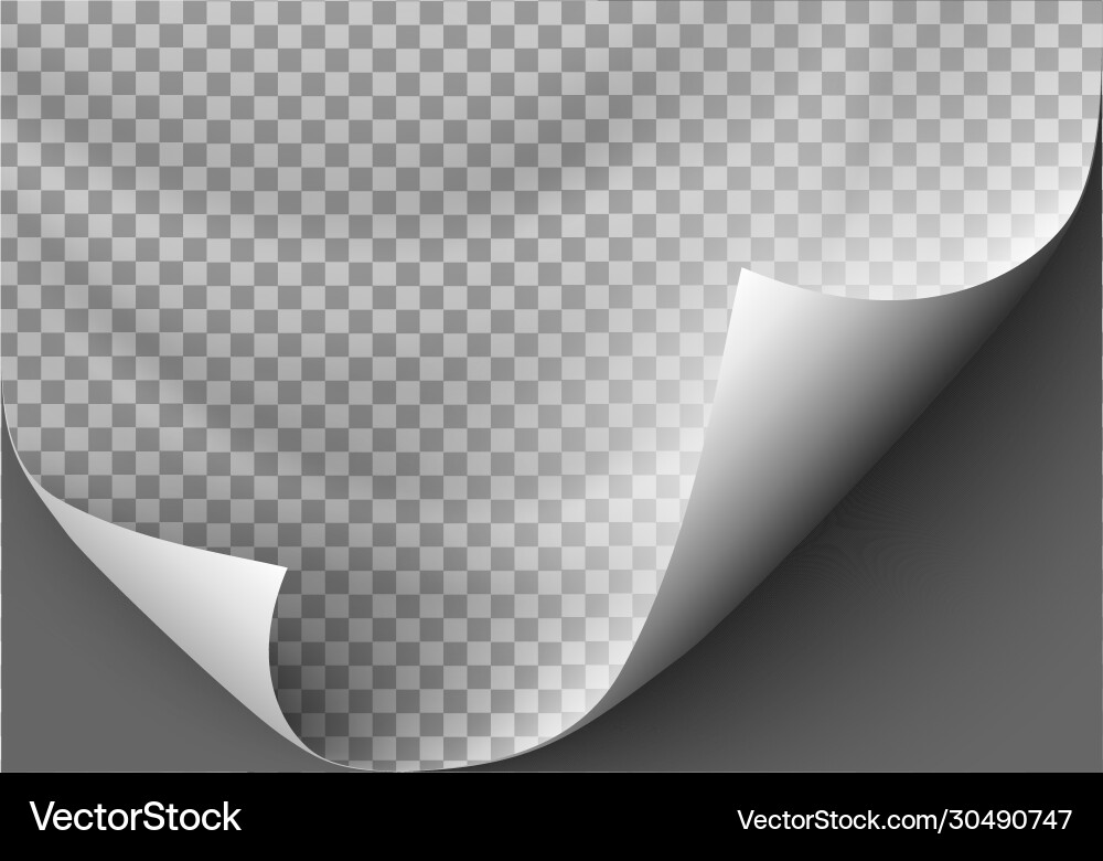 Page curl with shadow on blank sheet paper Page curl with shadow on blank sheet paper vector image