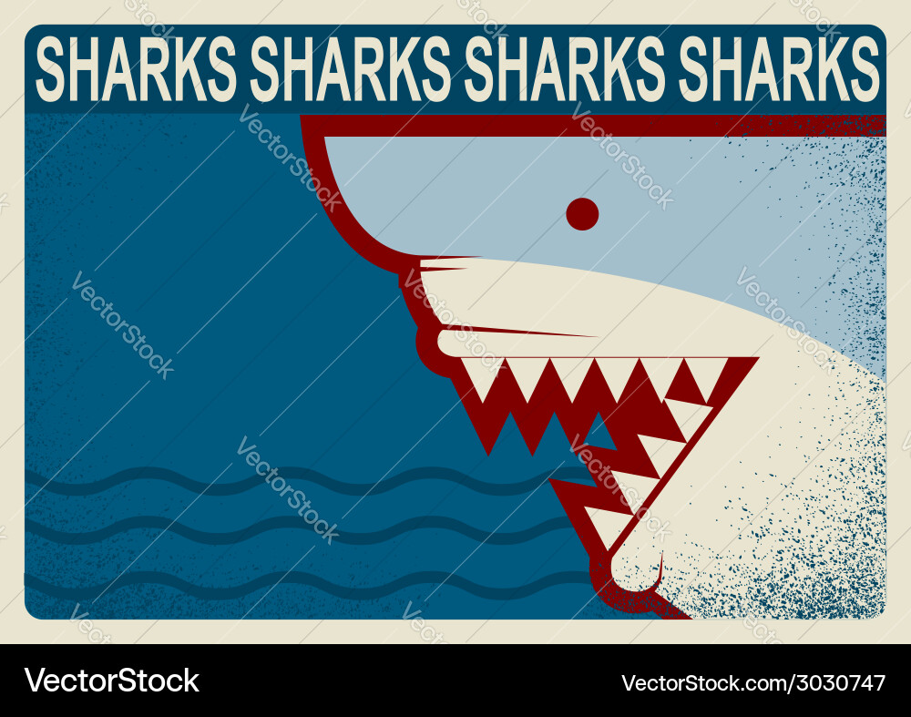 Shark poster background for design Vector Image