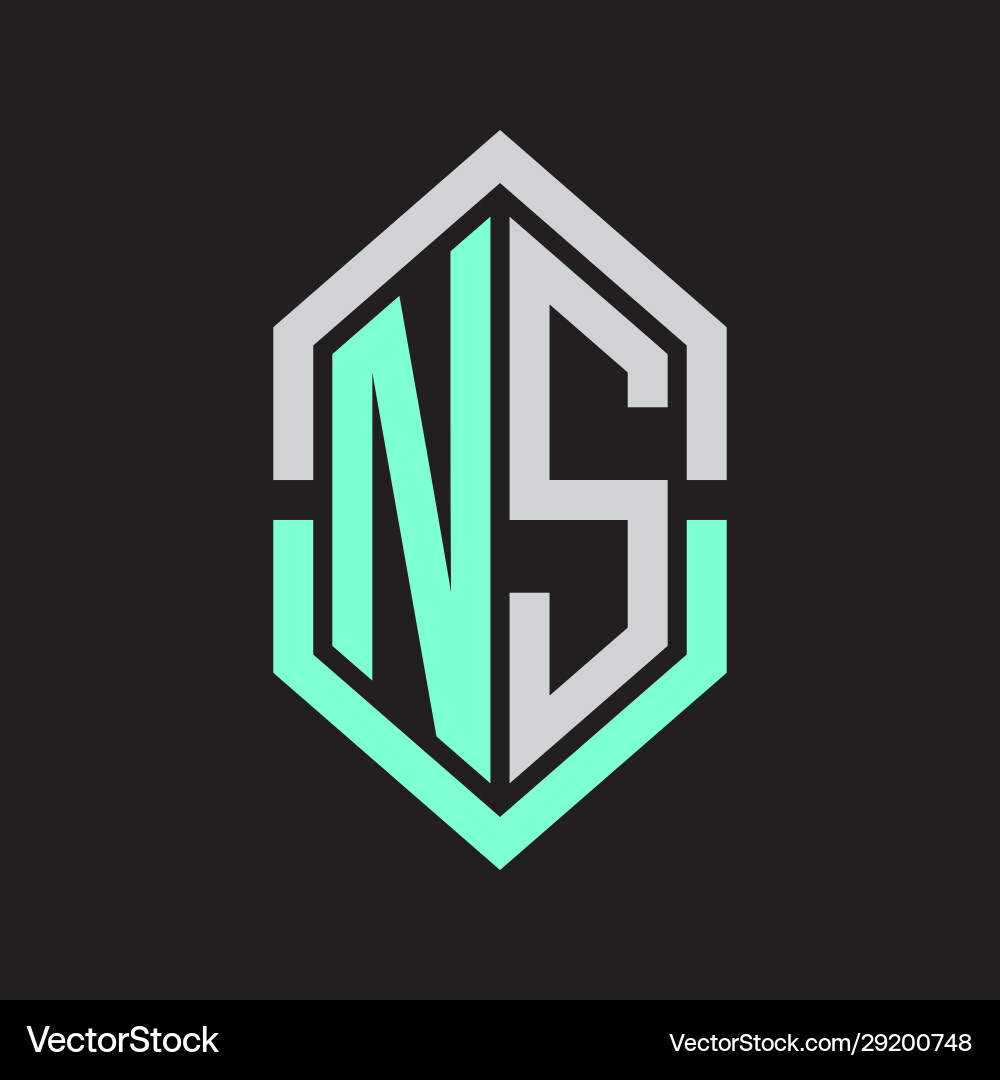 Ns logo monogram with hexagon shape and outline Vector Image