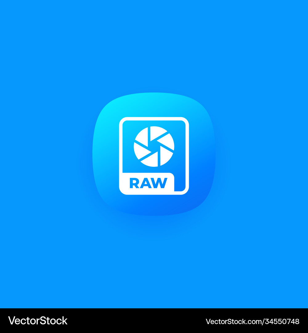 Raw file icon camera format Vector Image