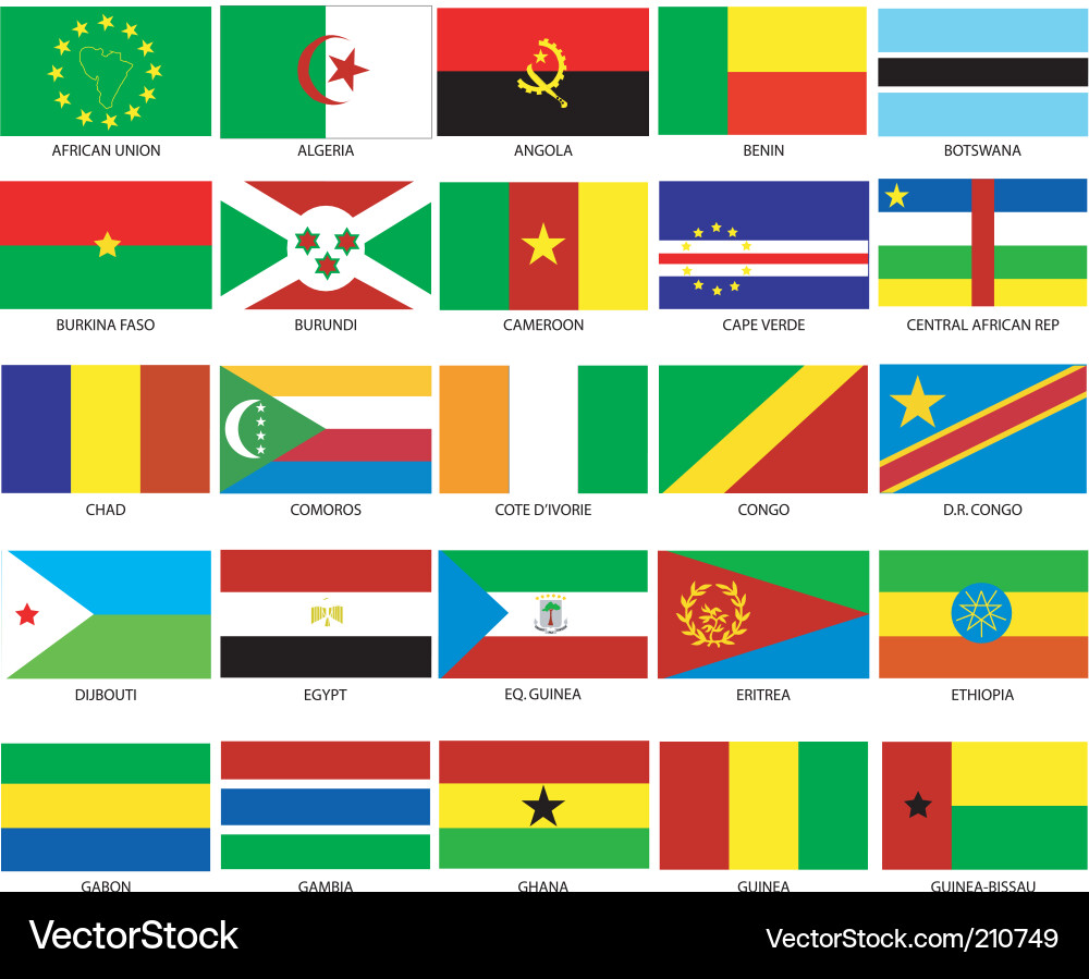 African National Flags vector image