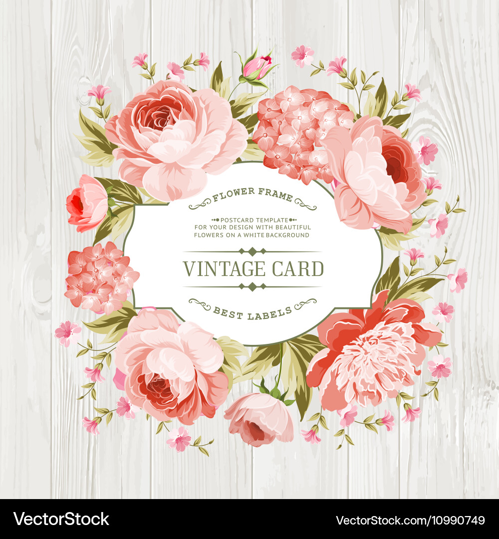 Pink peony label Royalty Free Vector Image - VectorStock