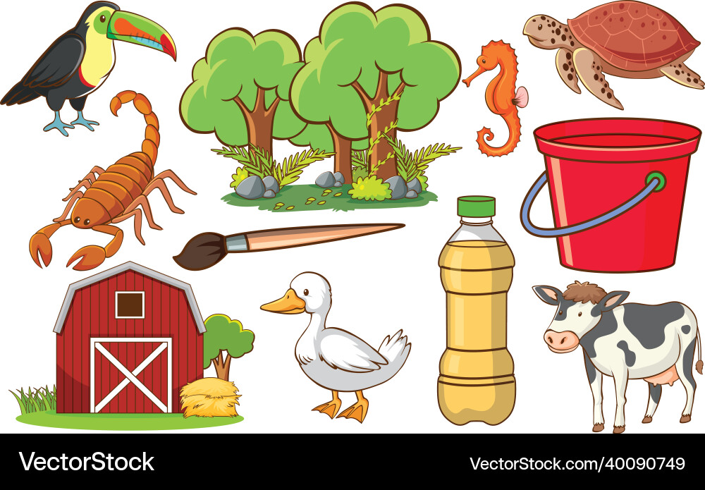Set of various animals and objects Set of various animals and objects Vector Image