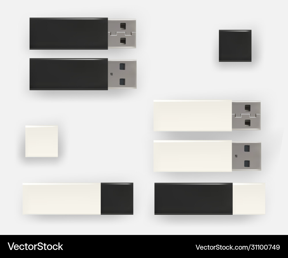 Usb pen drives flash disks Usb pen drives flash disks vector image