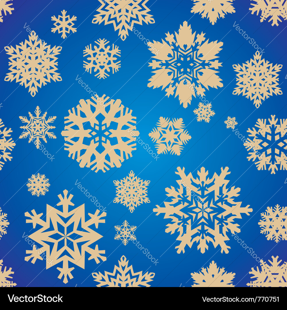 Elegant Snowflake Pattern Vector Image