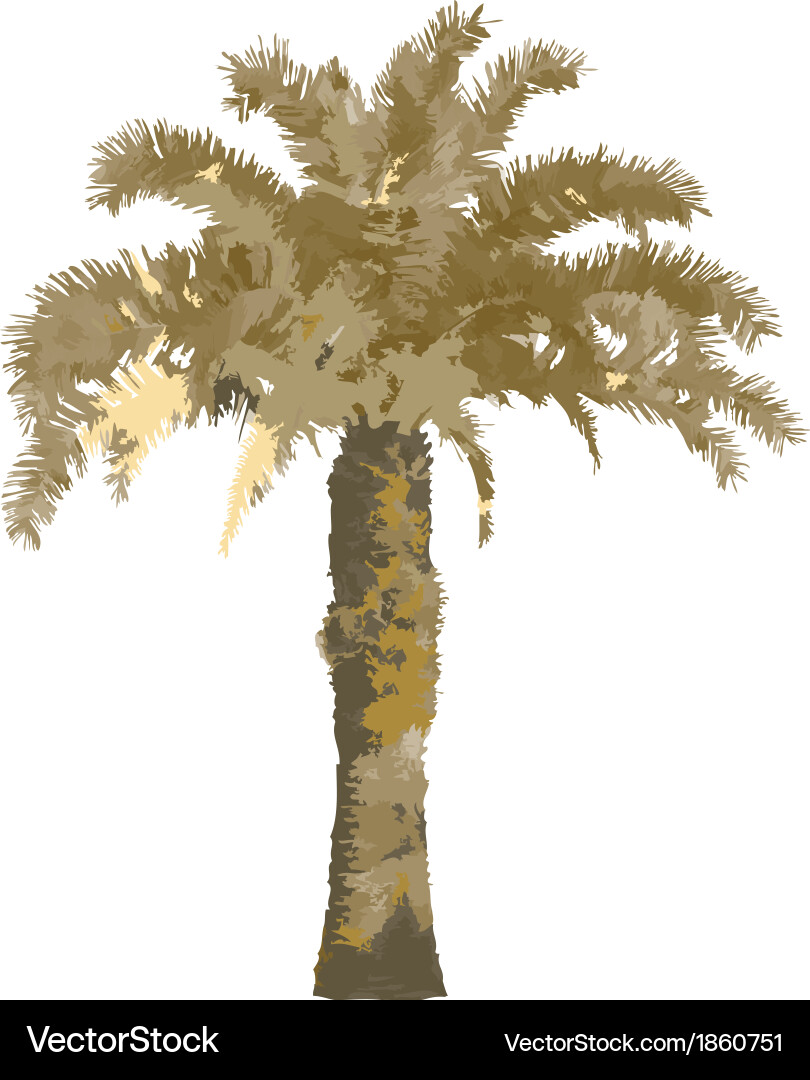 Palm tree Royalty Free Vector Image - VectorStock