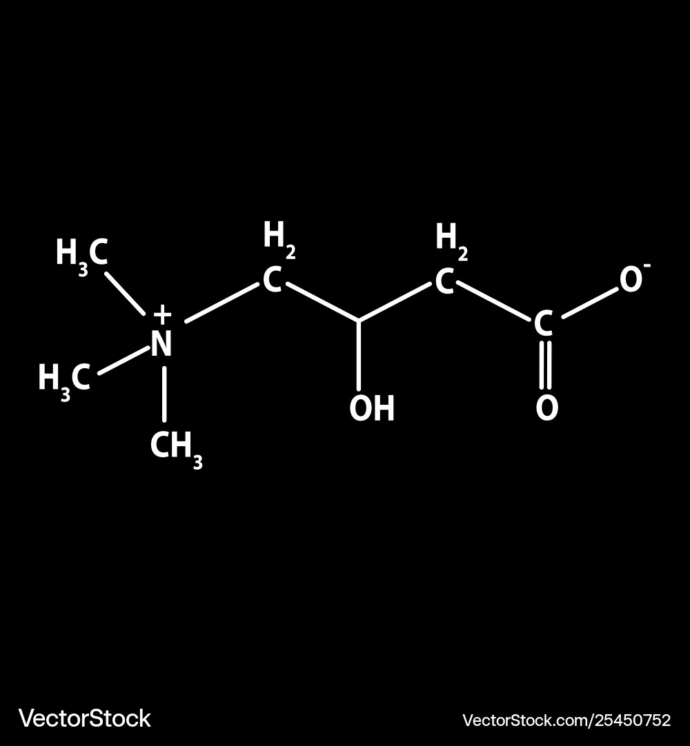 acetate l carnitine Palmitoyl-L-carnitine Chloride | CAS 18877-64-0 | SCBT main image 0