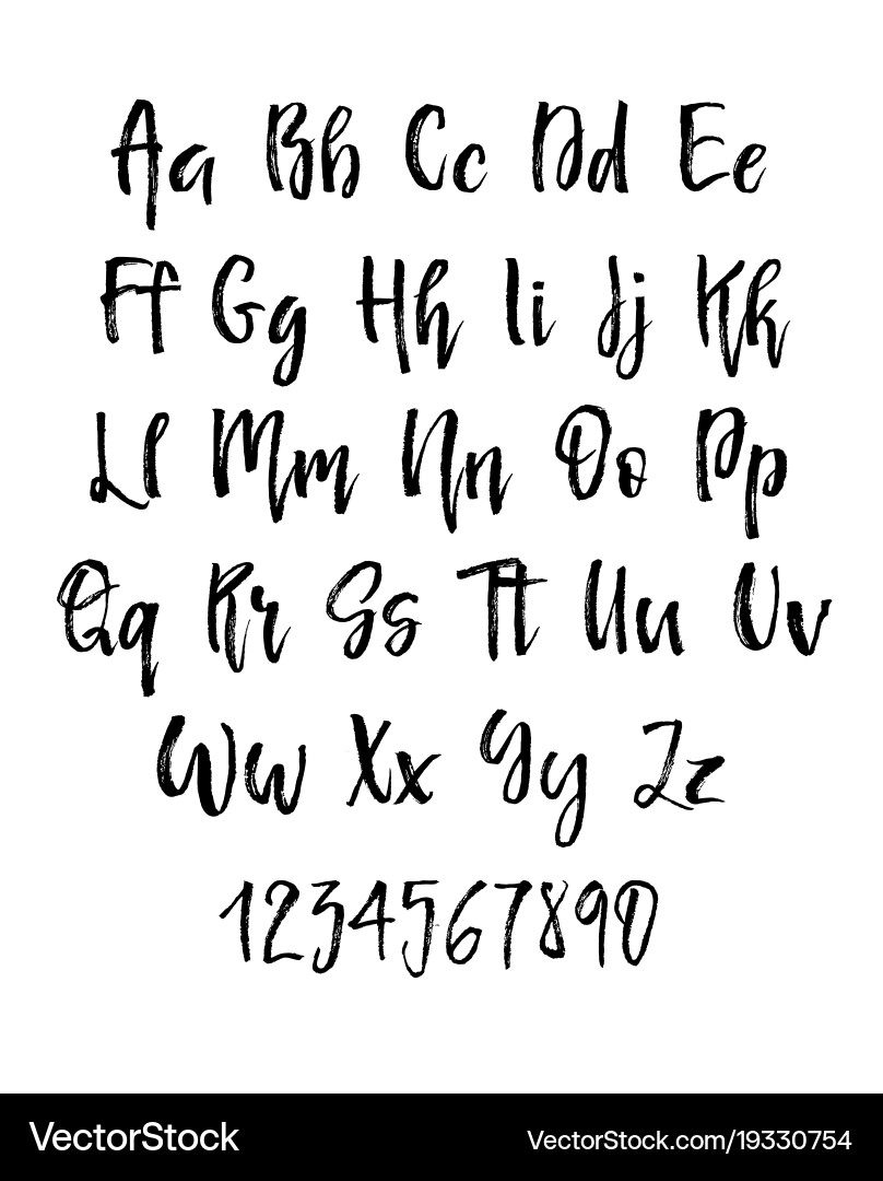 Elegant Brush Script Font vector image