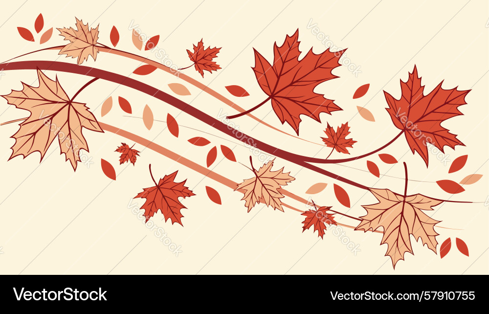 Dynamic autumn maple leaf branch design Vector Image