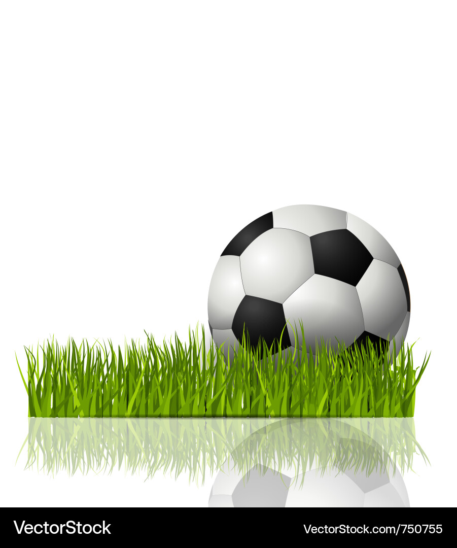Football Vector Image