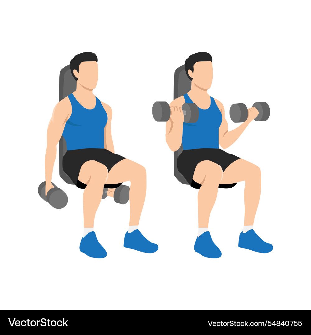 Man doing seated both arms dumbbell bicep curls Man doing seated both arms dumbbell bicep curls vector image
