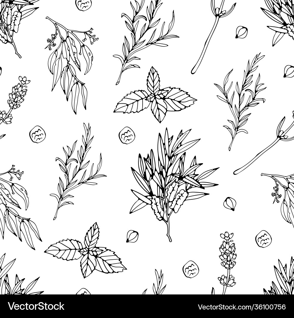 Herb Seamless Pattern Vector Image