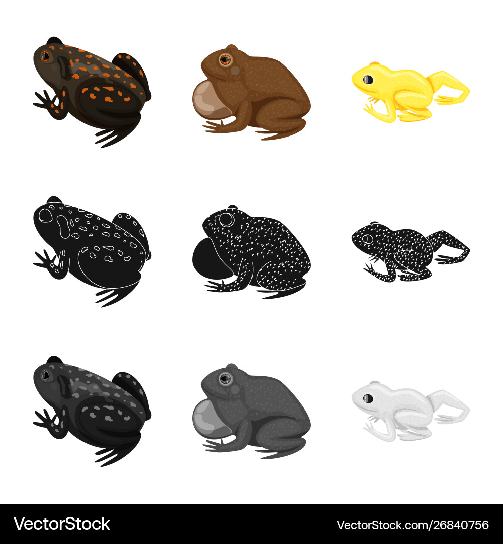 Isolated object wildlife and bog icon set Vector Image