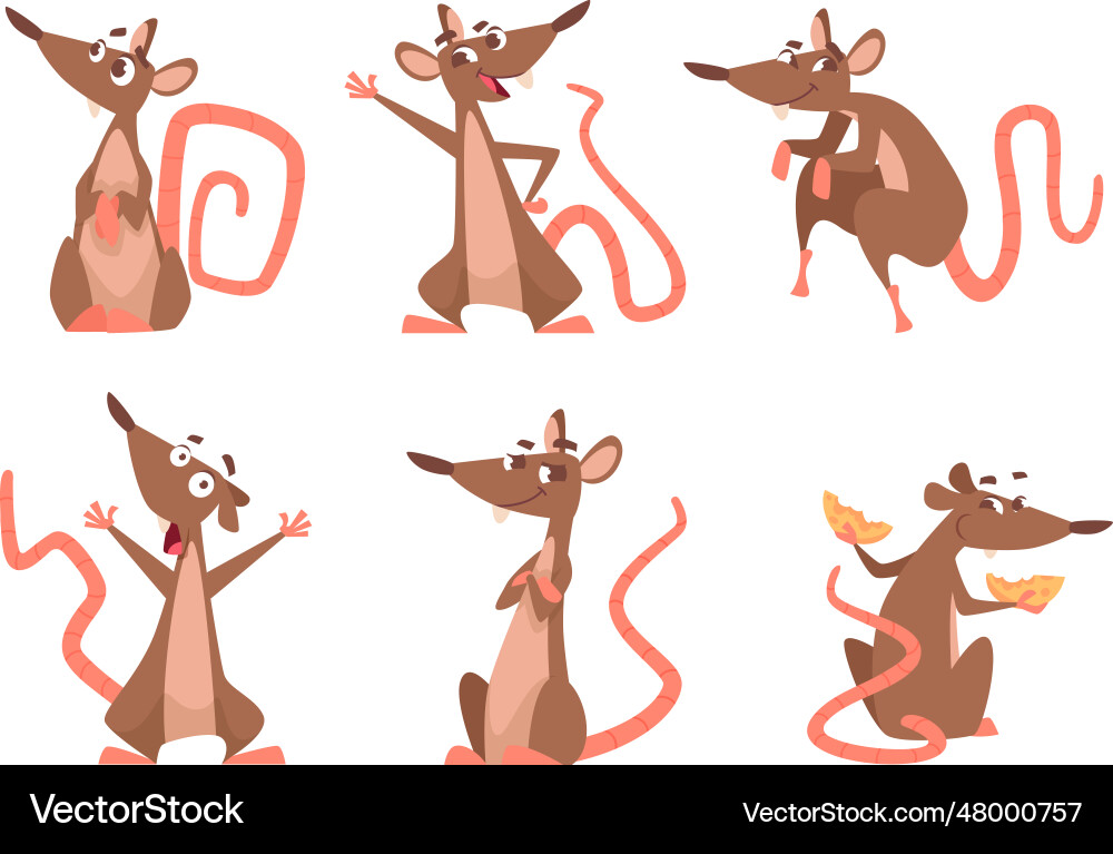 Cartoon rat lab mouse in action poses exact cute Cartoon rat lab mouse in action poses exact cute vector image
