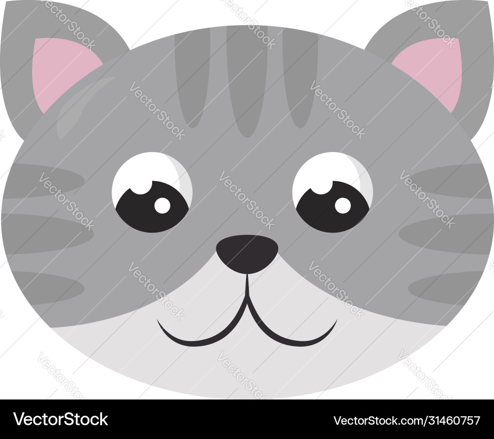 Grey cat on white background Vector Image