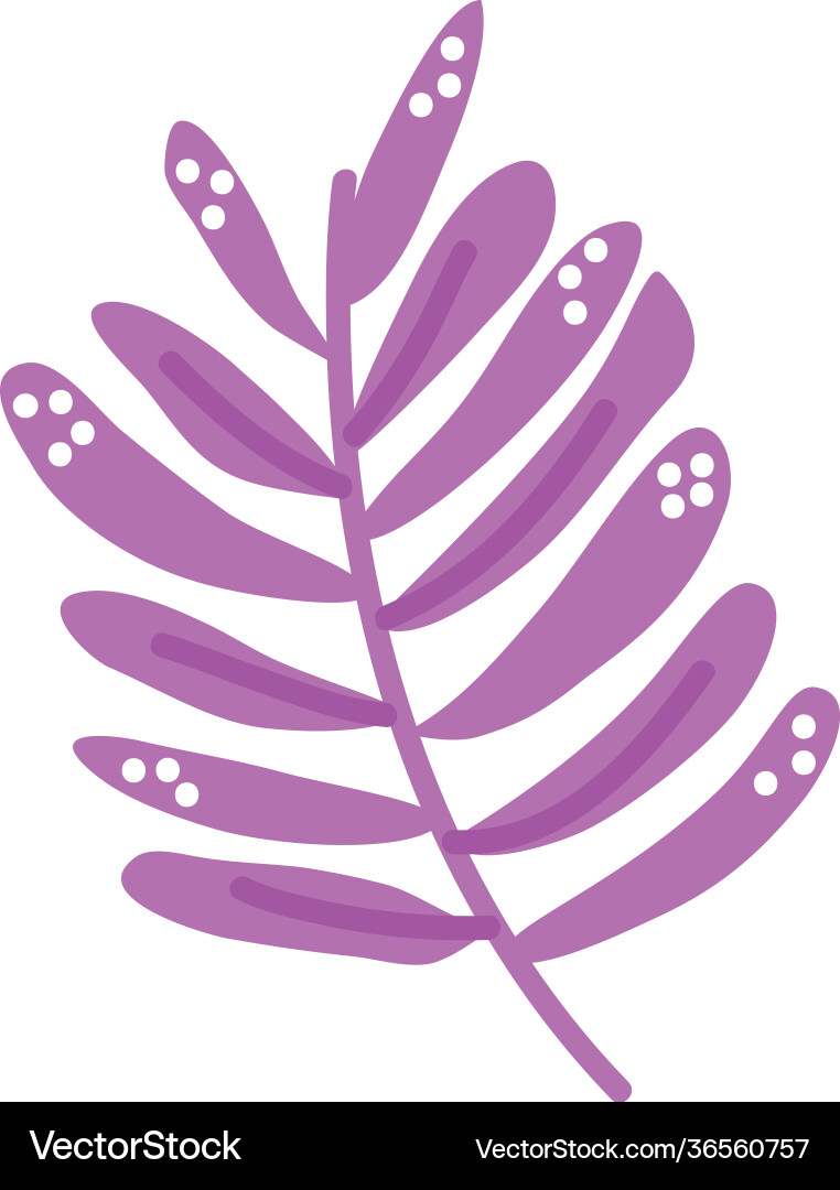 Leafs branch spring Royalty Free Vector Image - VectorStock