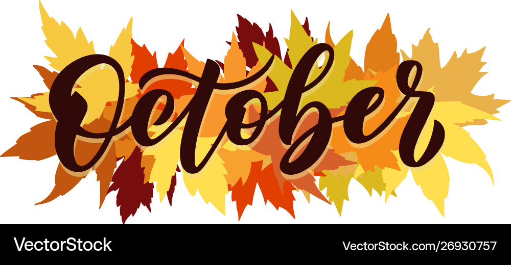 October script with decorative maple October script with decorative maple vector image