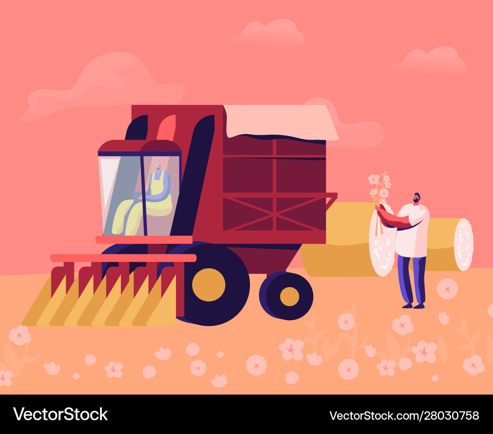 Cotton picker working in field mechanized Cotton picker working in field mechanized vector image