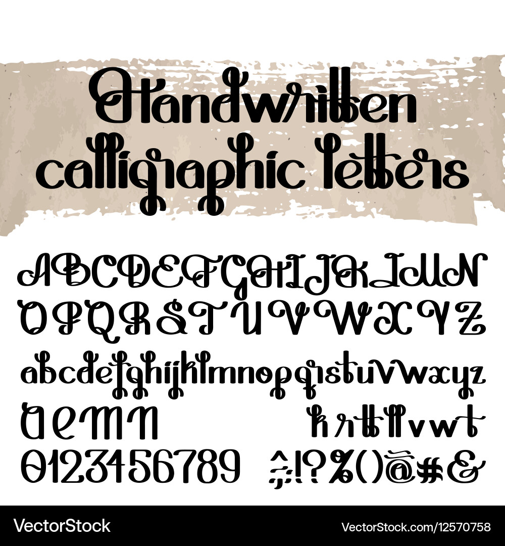 Handwritten calligraphic script vector image