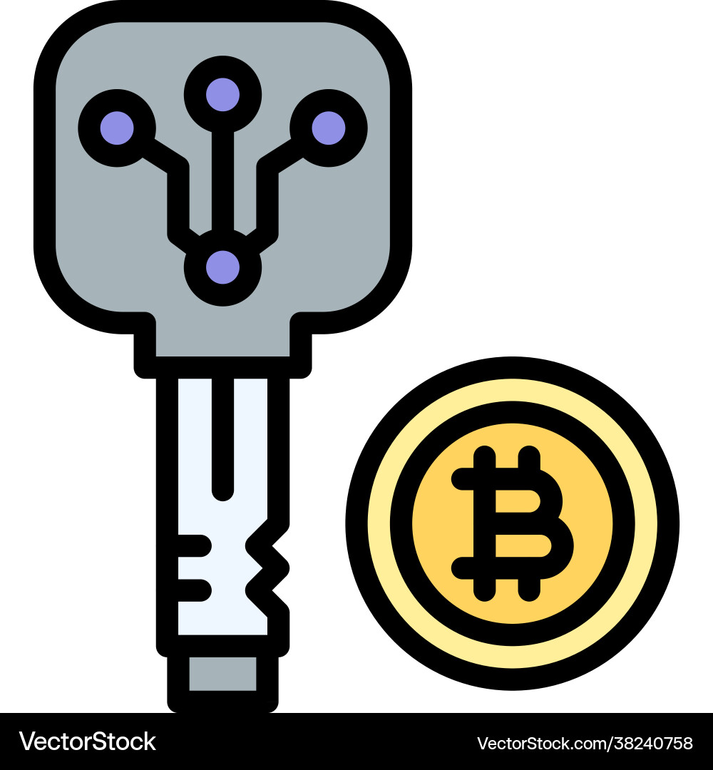 Key icon cryptocurrency related – Royalty-Free Vector | VectorStock