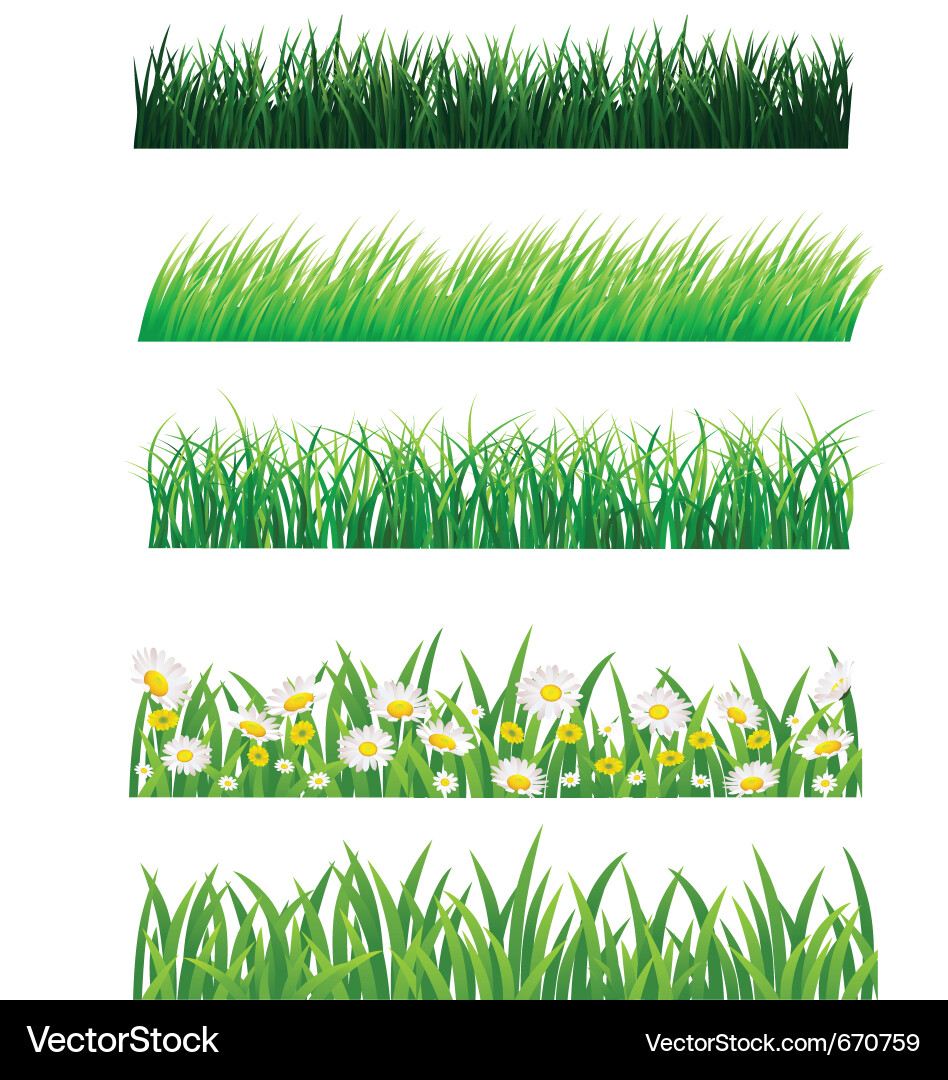 Grass collection Royalty Free Vector Image - VectorStock