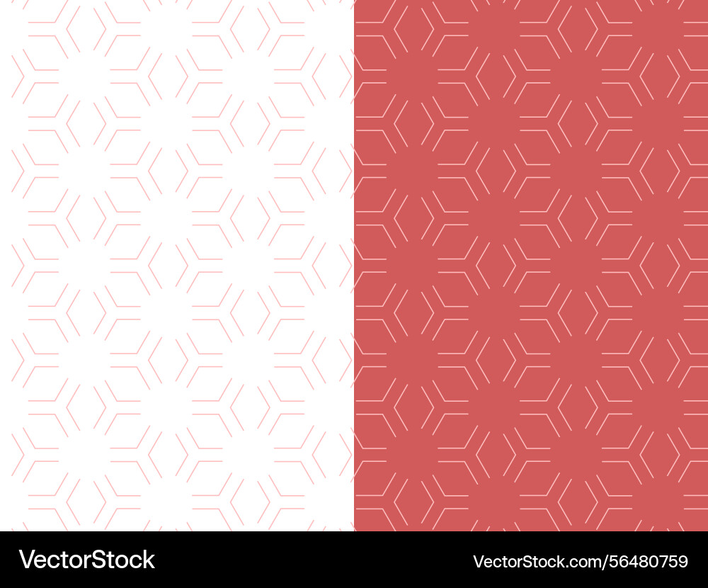 Luxury geometric hexagonal pattern background Vector Image