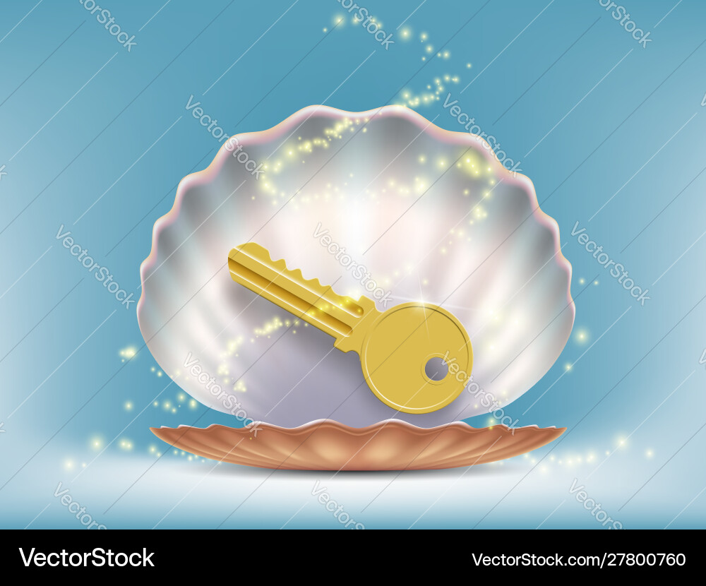 Key to lock in a open sea shell vector image