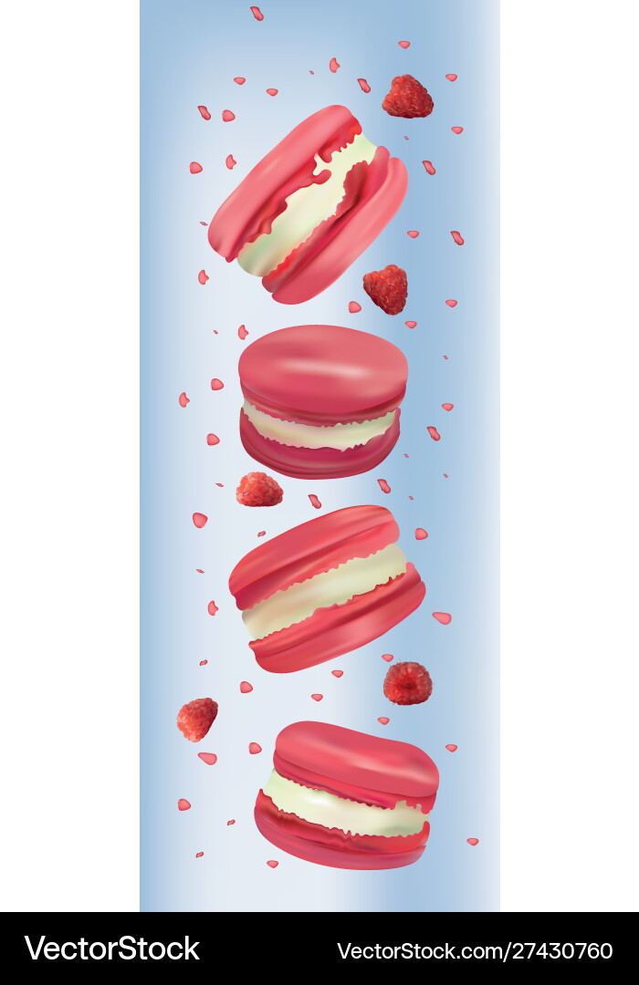 Raspberry macaroon in motion isolated on blue Vector Image